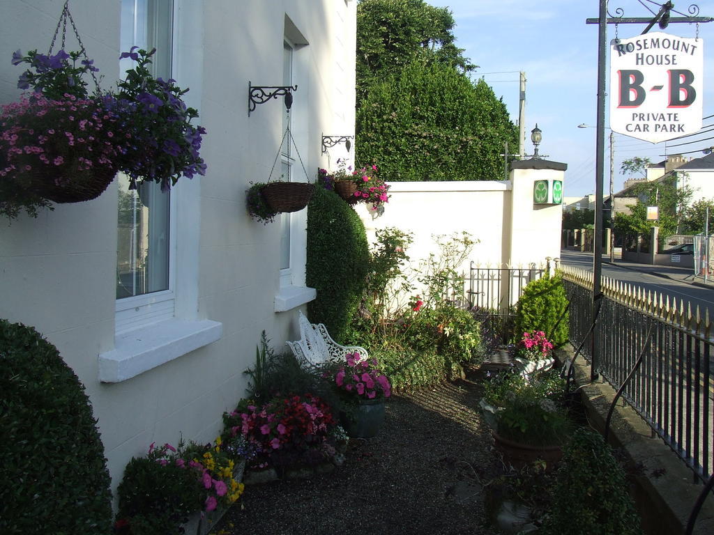 Rosemount House B&B COUNTY WEXFORD Dış mekan fotoğraf